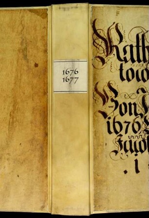 Ratsprotokolle, 1676 Aug. 1. - 1677 Juli 26.