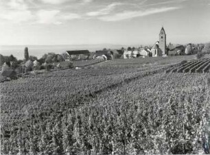 Blick auf Hagnau am Bodensee