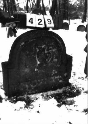 Grabstein 429