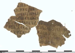 Homer, Odyssee 10, 99–108, 138–146