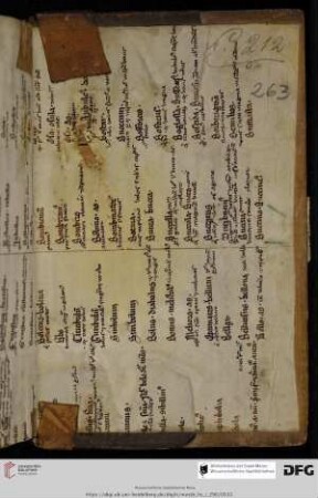 aus einem lat. grammatisch-lexikalischen Glossar (13. Jh.) in derivatorischer Anordnung