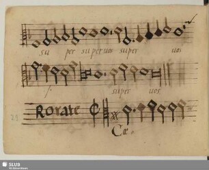 Anonymus: Rorate caeli [Anfang]
