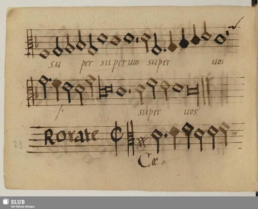 Anonymus: Rorate caeli [Anfang]