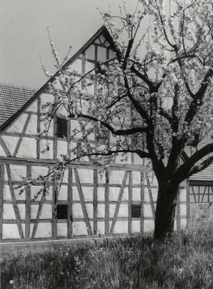 Museumsdorf Wackershofen