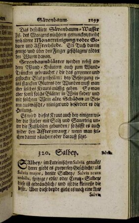 320. Salbey. - 328. Knabenkraut/ Ständelwurtz.