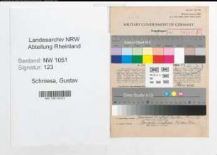 Entnazifizierung Gustav Schniesa , geb. 15.12.1897 (Wirtschaftsberater)