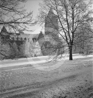 Schloss Posen im Winter