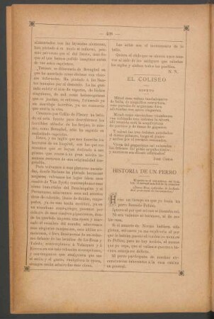 Historia de un perro