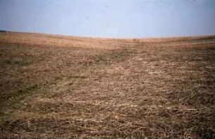 Fotografie: Pflanzenproduktionsverfahren, Erosion, Zwischenfrucht
