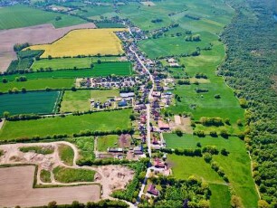 Nienwohld: Luftbild in Richtung Westen: rechts Nienwohlder Moor, oben blühendes Rapsfeld