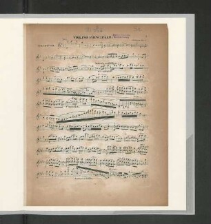 Violino Principale.