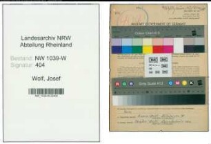 Entnazifizierung Josef Wolf , geb. 22.11.1901 (Verwaltungsinspektor)