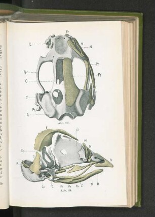 Abb. 120-121.