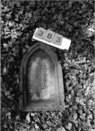 Grabstein 383 (Index: 99792090) Material: Sandstein Zustand: verwittert mit Textverlust, Stele liegend Maße HxBxT: 62x36x14 cm Beschreibung: Stele, Spitzbogenabschluß, Schriftfeld eingetieft: Grabstein 383