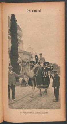 Del natural - [Fotografía]