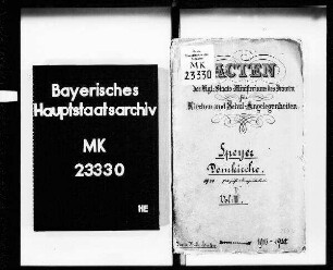 Die Domkirche in Speyer. Wiederherstellung - innere Einrichtung, Fabrikvermögen.