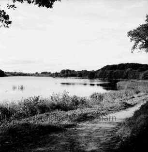 Grabauer See: im Vordergrund Wanderweg: hinten Bäume