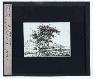 Ruisdael, Landschaft mit Baum (Radierung, unidentifiziert)