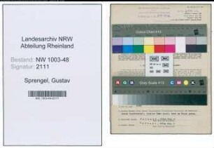 Entnazifizierung Gustav Sprengel , geb. 03.08.1898 (Unternehmer)