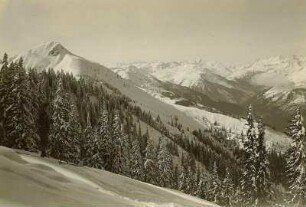 Kitzbüheler Alpen. Blick nach Süden vom Wege von der Hütte "Alpenrose" bei Westendorf nach dem Fleiding. Links der Fleiding (1896 m), rechts das Tal der Windauer Ache