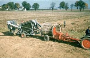 Fotografie: Kartoffel, Kartoffelsammelroder, Erntetechnik, Handarbeit, Arbeitsplatz