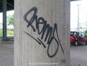 RemS