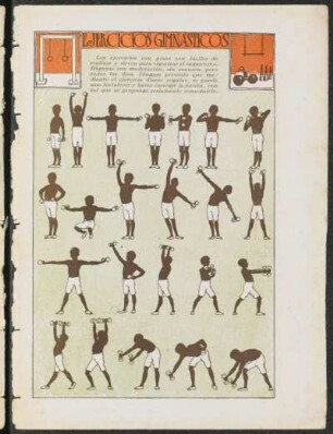 Ejercicios gimnásticos