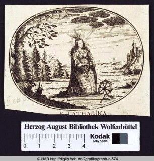 S. Catharina.