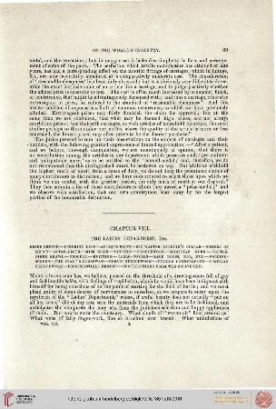 Chapter VIII
