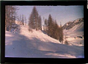Winterlandschaft bei Zuoz (Engadin)