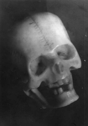 Totenkopf