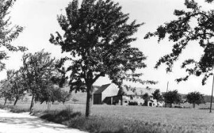 Königshain. Windmühlengehöft an der Thiemendorfer Straße