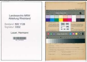 Entnazifizierung Hermann Lauer , geb. 06.08.1905 (Arzt)