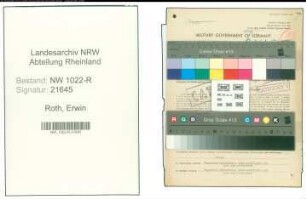 Entnazifizierung Erwin Roth , geb. 13.06.1896 (Prokurist)