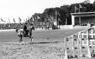 Reitturnier auf der Reichsnährstandausstellung 1939 : Ein Reitturnier auf dem Großen Ring im Rahmen der 5. Reichsnährstand-Ausstellung 1939 in Leipzig.