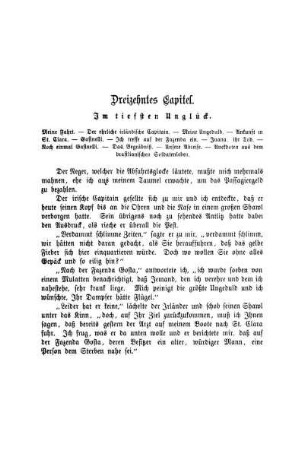 Dreizehntes Capitel. Im tiefsten Unglück.