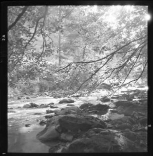 An der Wutach