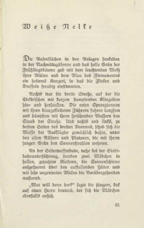 Weiße Nelke