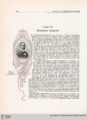 Gruppe VII: Chemische Industrie