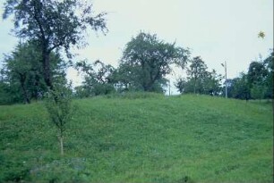 Bodendenkmal Wallburg oberhalb des Ortes; dahinter Streuobstwiese