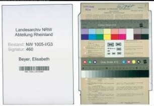 Entnazifizierung Elisabeth Beyer , geb. 08.03.1901 (Postbeamtin)