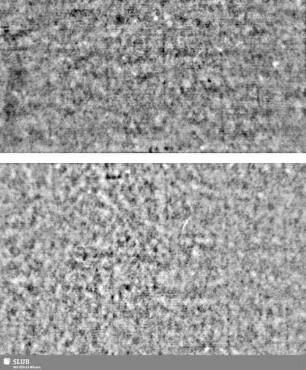Lilienschild + IESV / LW = Bd.1, S.37/38+119/120