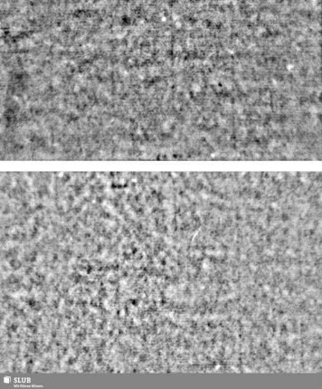 Lilienschild + IESV / LW = Bd.1, S.37/38+119/120