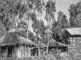 Residenz : Hütten einer Residenz, die vormals einem Oberhaupt der Amhara gehört haben.