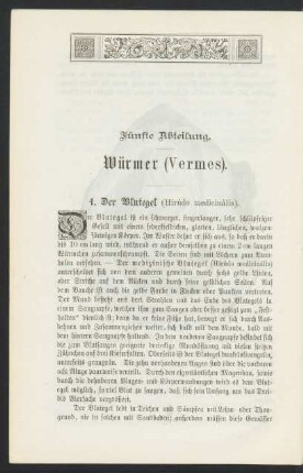 Fünfte Abteilung. Würmer (Vermes).