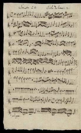 Viola da braccio 2