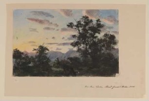 Landschaft mit Kühen und Hirt im Abendlicht [aus Mappe III aus dem Sommerhoff-Nachlass]