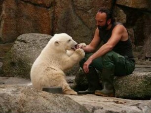 Berliner Zoo, der kleine Eisbär Knut nuckelt an der Hand des Pflegers Thomas Dörflein, 22. Juni 2007