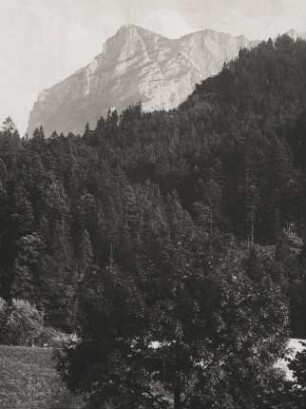 Deutschland. Oberbayern. Blick von Weißbach an der Alpenstraße bei Bad Reichenhall in Richtung Reiteralpe, auch Reiter Alm