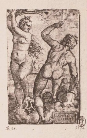 Apoll und Daphne